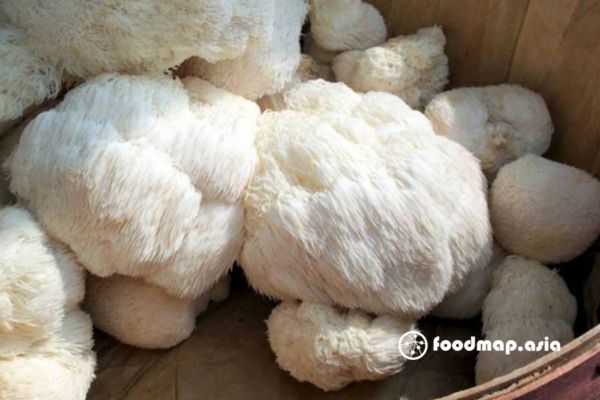 cach-su-dung-nam-hau-tuoi