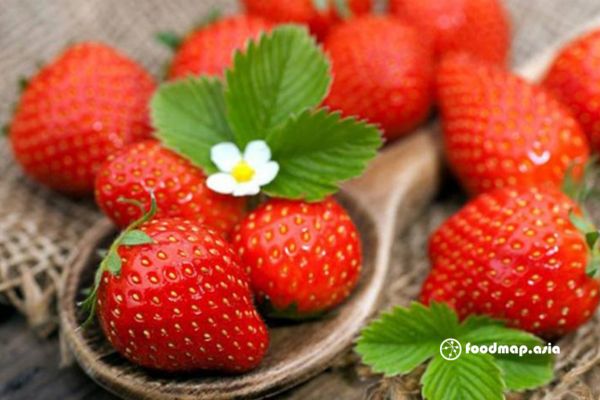 dau-tay-la-than-duoc