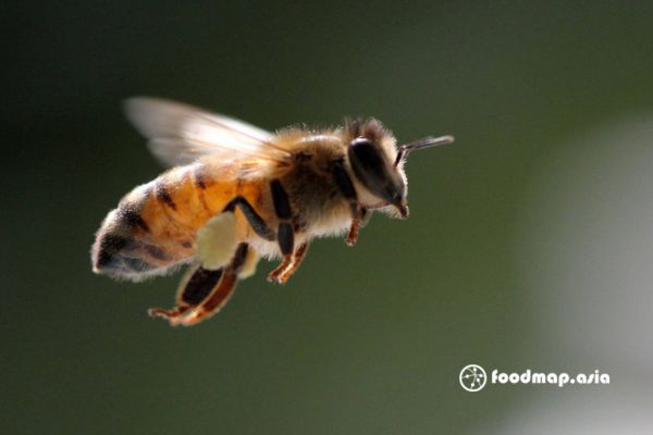 van-toc-bay-cua-ong-tho