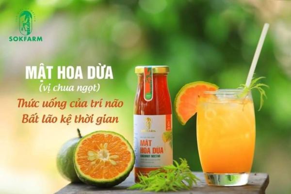 cong-dung-mat hoa dua