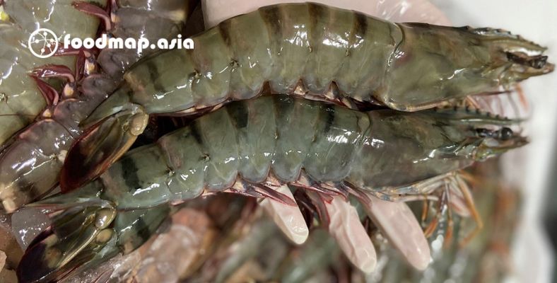 phan-biet-tom-su-tom-the-tom-dat