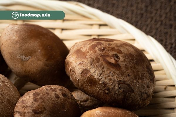 Nghiên cứu thành công Nấm Shiitake