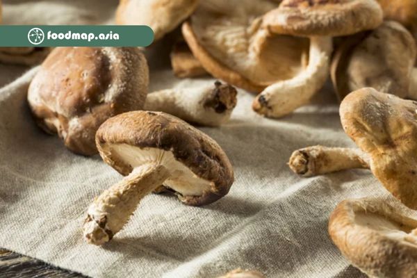 Nghiên cứu Shiitake