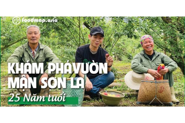 Gặp gỡ người nông dân tại vườn Mận