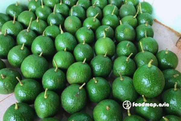 bao-quan-bo-dung-cach-1