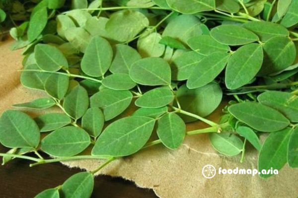 rau-chum-ngay-ho-tro-tieu-hoa