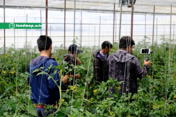 Cựu giám đốc thăm vườn