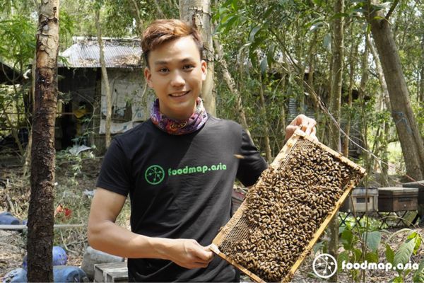 khao-sat-mat-ong-rung-hoa-tram