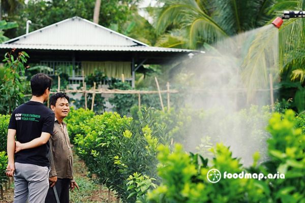 mo-hinh-canh-tac-cam-huu-co