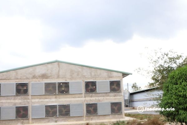 ga-nuoi-chuong-nha-lau