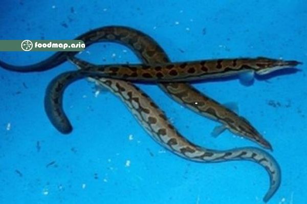 Các diễn giả trả lời câu hỏi của nông dân về nuôi trồng thủy sản tại ĐBSCL. Ảnh: Lê Hoàng Vũ.