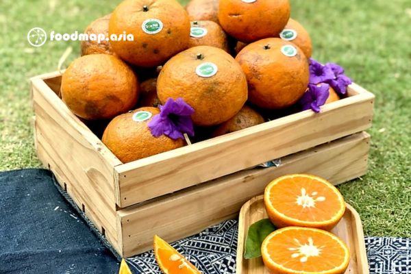 cam-ham-yen-ton-nu-foodmap