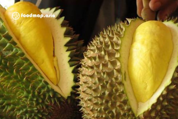 cach-phan-biet-sau-rieng