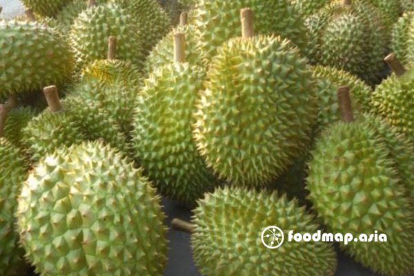 cach-chon-sau-nhieu-mui