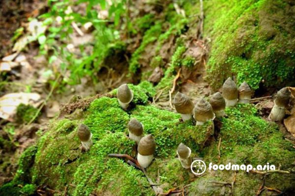 dac-diem-nam-moi-den