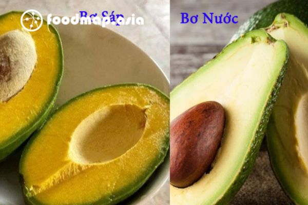 phan biet bo sap va bo nuoc