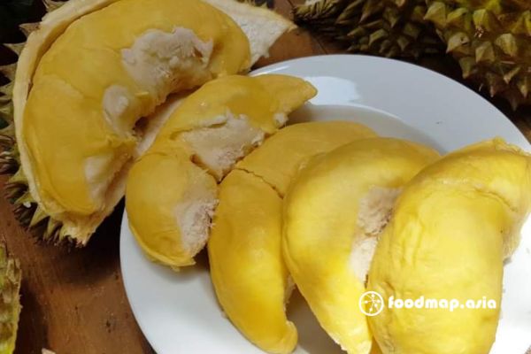 kham-pha-ve-sau-rieng-ri6