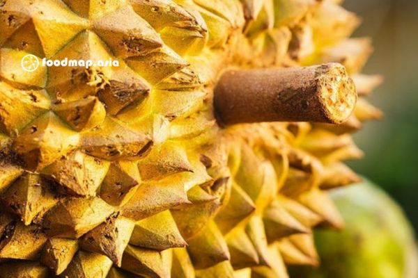 Được phép sử dụng một số dung dịch để kích chín sầu riêng