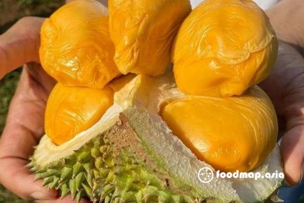 nhan-biet-sau-qua-mau-sac