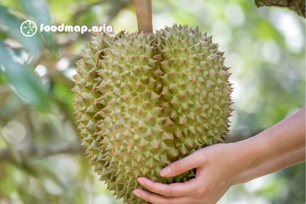 trong-luong-sau-rieng