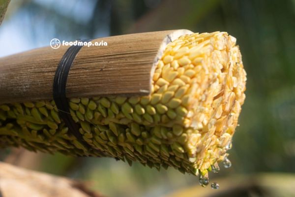 Công đoạn hứng mật dừa chảy ra