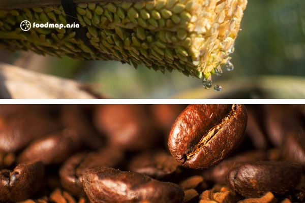 Mật hoa dừa pha cùng cà phê