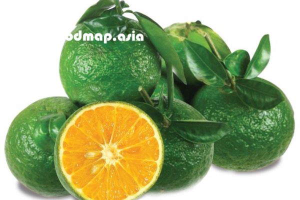 gia-trị-dinh-duong-trong-cam