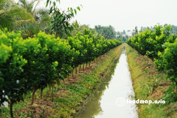 canh-tac-cam-an-toan