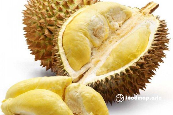 tre-con-co-nen-an-sau-rieng-khong