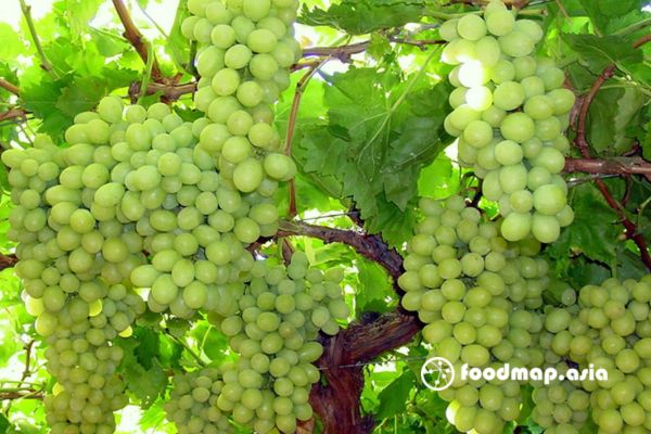 nho-xanh-ninh-thuan