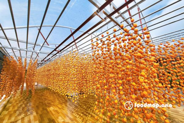 hong-treo-gio-nha-long-kin