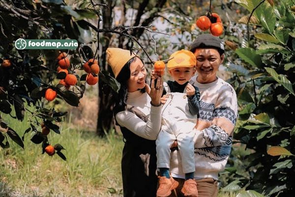 (Ảnh sưu tầm) Trang phục đơn giản làm nổi bật sắc cam của hồng