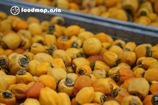 thong tin quan trong