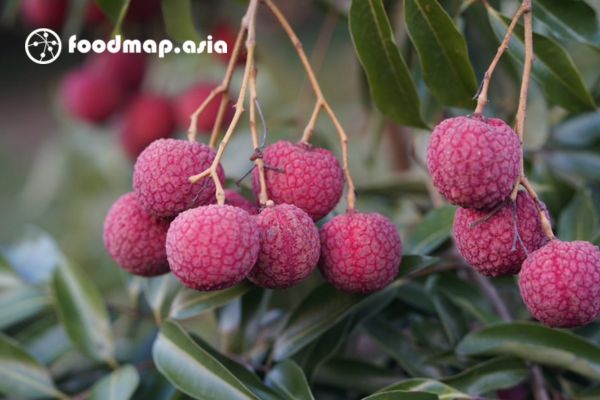 khong an qua nhieu vai