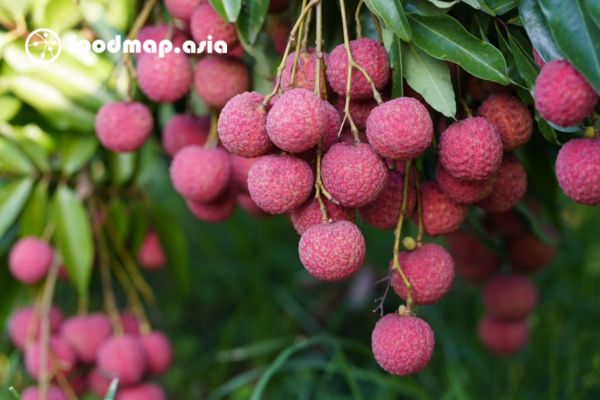 nguoi mau nong khong nen an vai