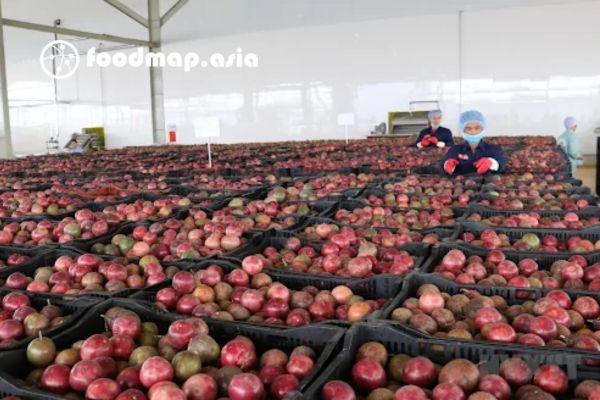 cac phuong phap bao quan nong san