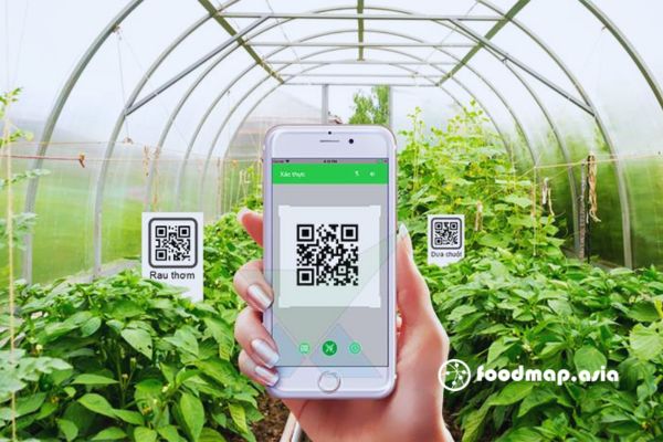 quy-trinh-truy-xuat-nguon-goc