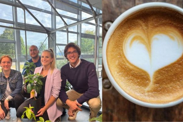  Amatera va istockNoi Pattanan Doi Amatera va ca phe