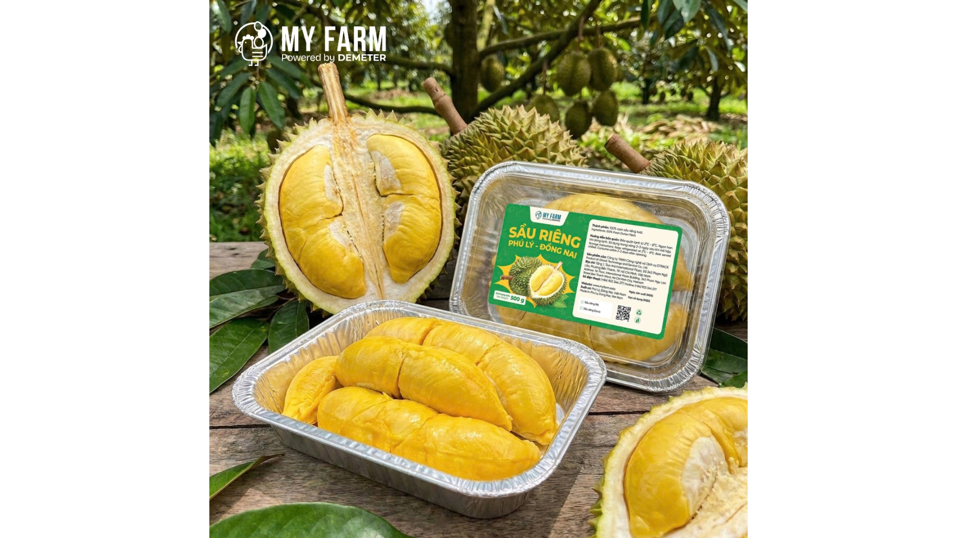 Sầu Riêng Ri 6 - Tách Múi - Set 500g