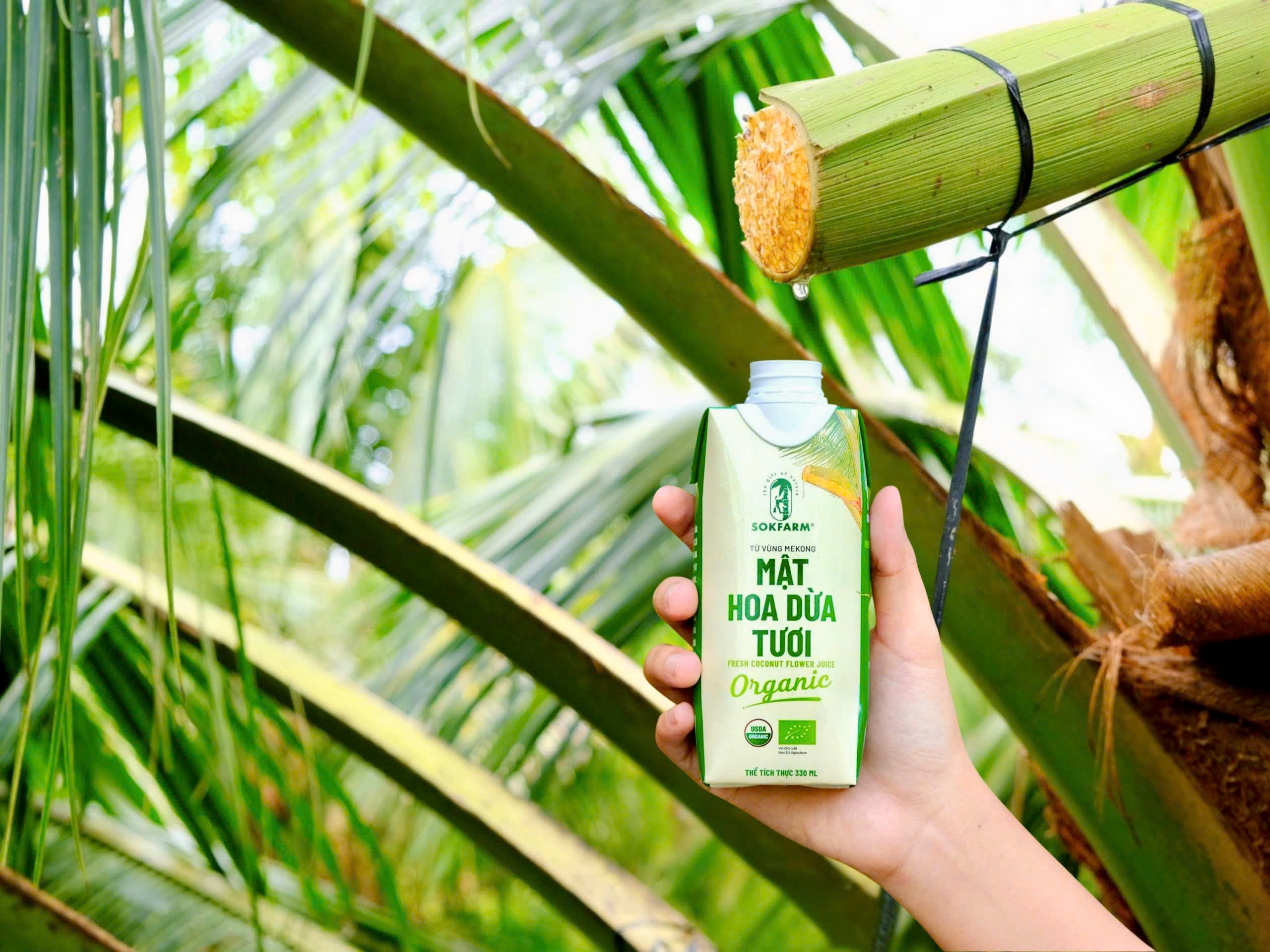 Anh dai dien tin tuc