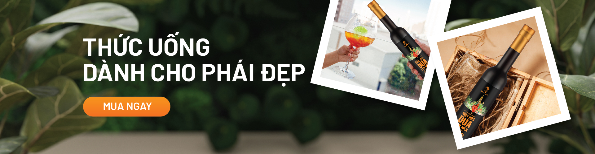 banner_bottom_description