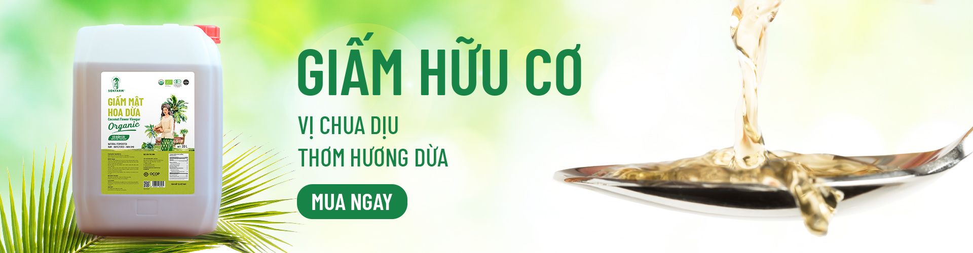 banner_bottom_description