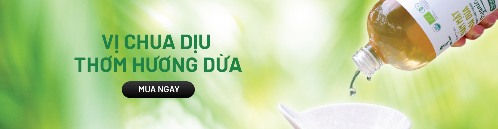 banner_bottom_description