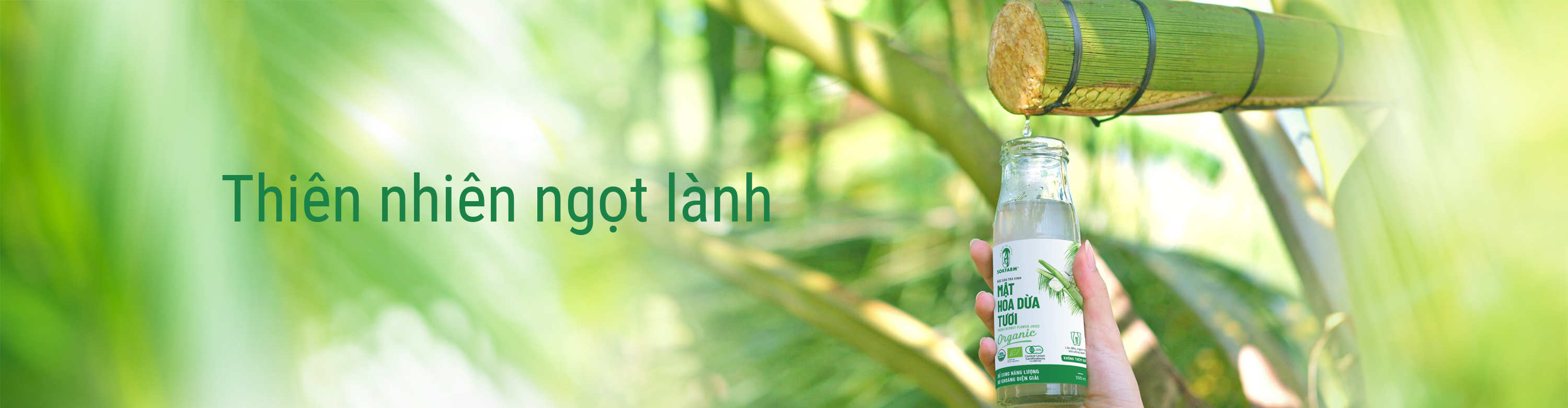 banner_bottom_description