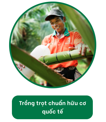 Banner mobile
