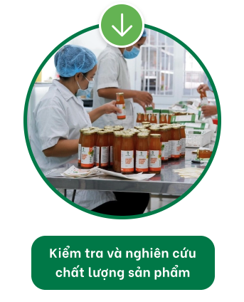 Banner mobile