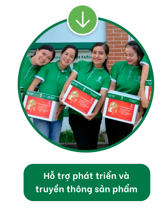 Banner mobile