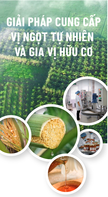 Banner v mobile